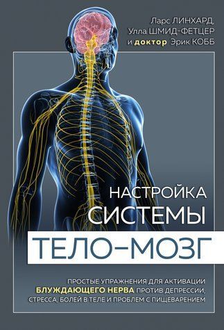 Настройка системы тело &ndash; мозг 978-1210-003 фото