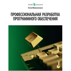 Професійна розробка програмного забезпечення