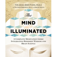 The Mind Illuminated : A Complete Meditation Guide Integrating Buddhist Wisdom and Brain Science (Світло ума. Детальний путівник з медитації англійською)
